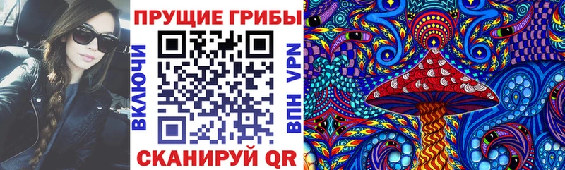 Псилоцибиновые грибы Psilocybine cubensis Бирск